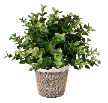 Planter Basket